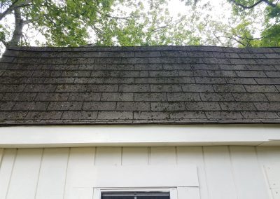 Excessive mold or moss growth on the roof surface of a house